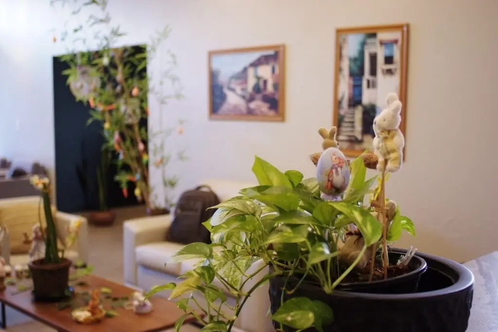 Detalhamento Consultório